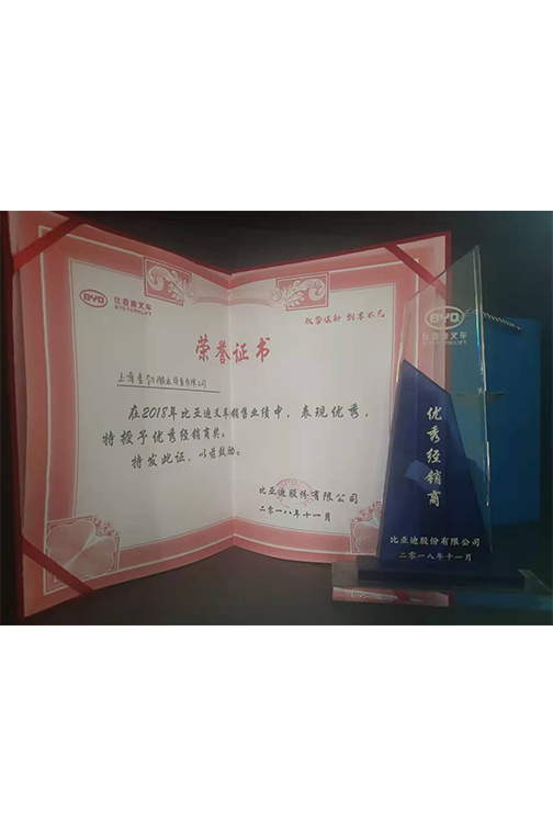 连云港市比亚迪2018优秀经销商